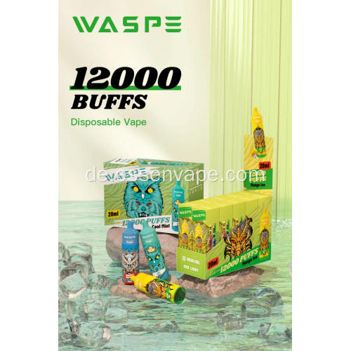 Beliebter Waschbang 12000 -Puffs Vape France